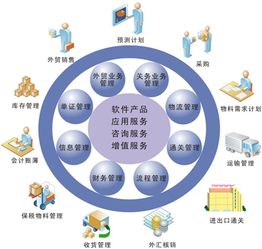 NetSuite 解决传统计算机系统服务无法触及的痛点